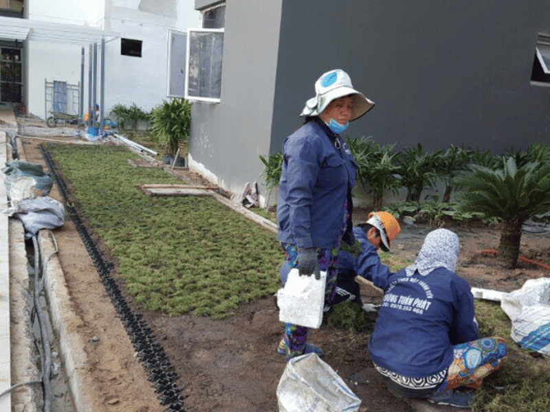 Bảng báo giá thiết kế thi công cảnh quan sân vườn trọn gói