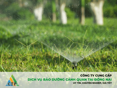 Dịch vụ bảo dưỡng cảnh quan tại Đồng Nai