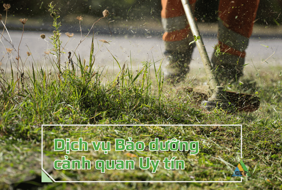 Dịch vụ Bảo dưỡng cảnh quan