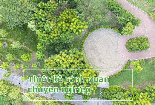 Dịch vụ Thiết kế cảnh quan