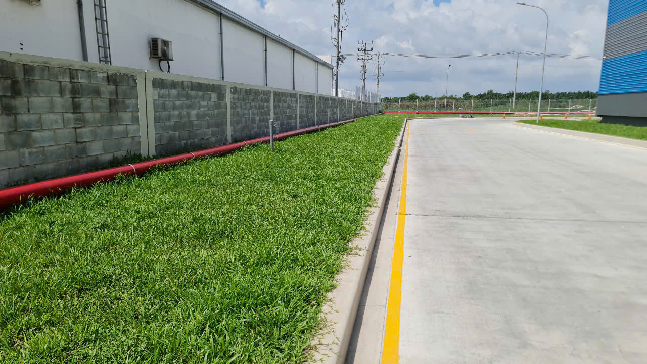 Dịch vụ Thi Công Cỏ Công Trình Chuyên Nghiệp Trọn Gói