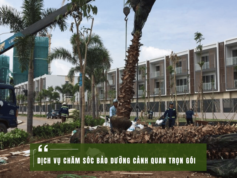 Dịch Vụ Chăm Sóc Bảo Dưỡng Cảnh Quan Trọn Gói – Giải Pháp Toàn Diện